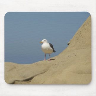 Mousepad Seagull, La Jolla, Califórnia