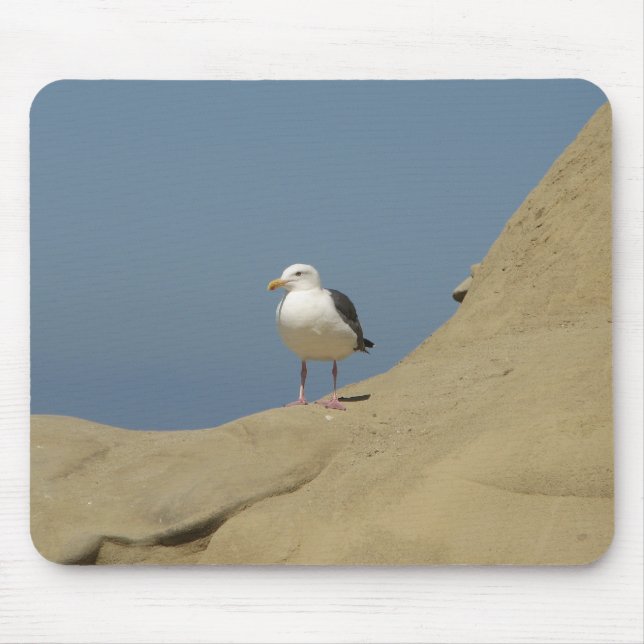 Mousepad Seagull, La Jolla, Califórnia (Frente)