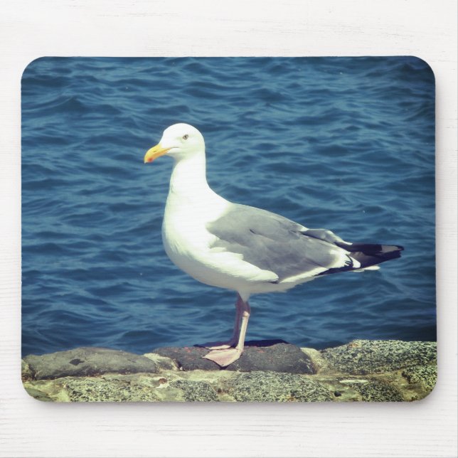 Mousepad Seagull No Compartimento (Frente)