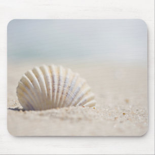 Mousepad Seashell do molusco
