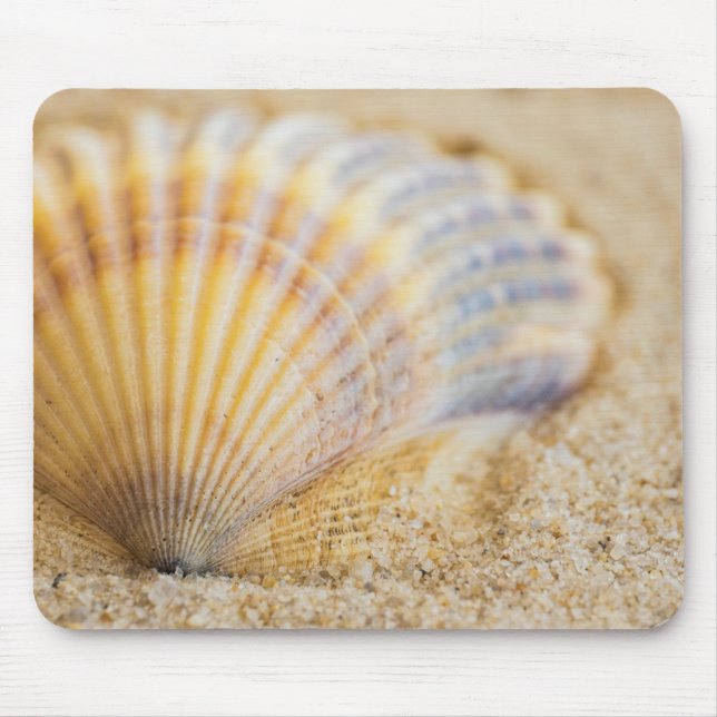Mousepad Seashell doce (Frente)