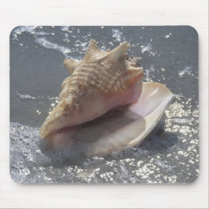 Mousepad Seashell na ilha da praia Sanibel, Florida