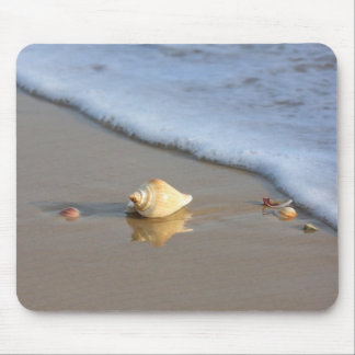 Mousepad Seashell na praia