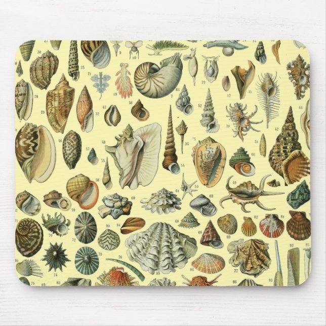 Mousepad Seashell Shell Mollusk Clam Elegant Clam Art (Frente)
