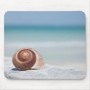 Mousepad Seashell St Petersburg, Florida