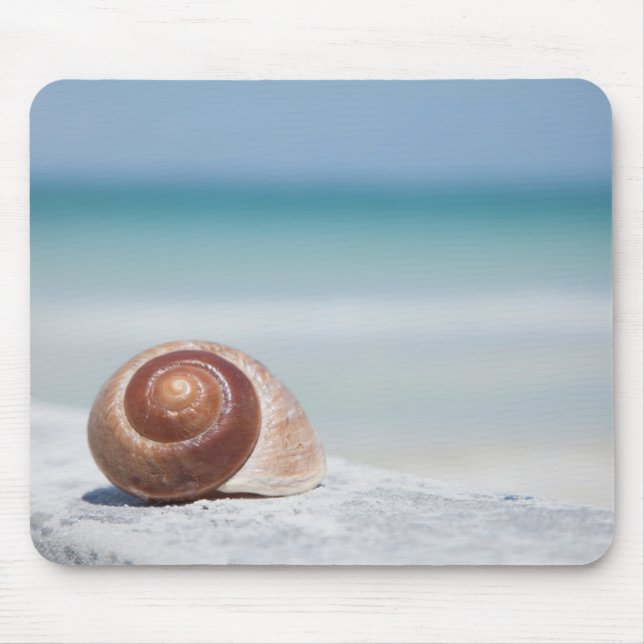 Mousepad Seashell | St Petersburg, Florida (Frente)