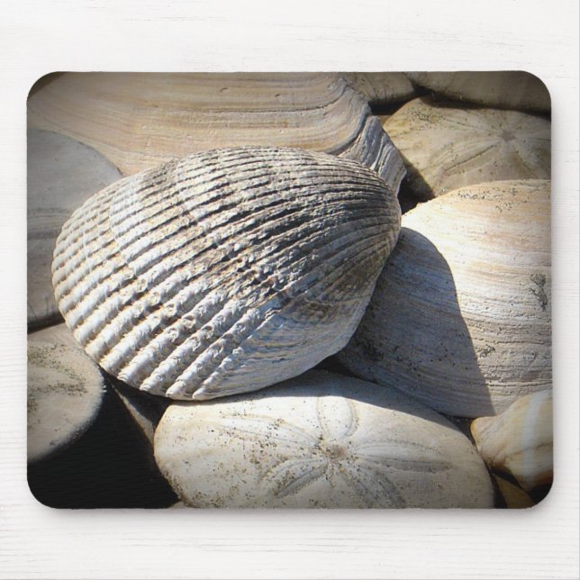 Mousepad Seashells (Frente)
