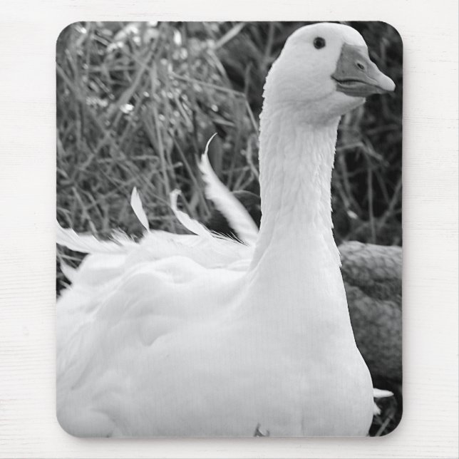 Mousepad Sebastopol Goose (Frente)