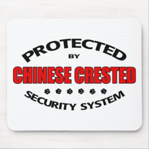Mousepad Segurança de Cães Detidos Chineses