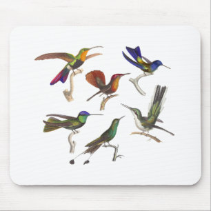 Mousepad Seis colibris coloridos