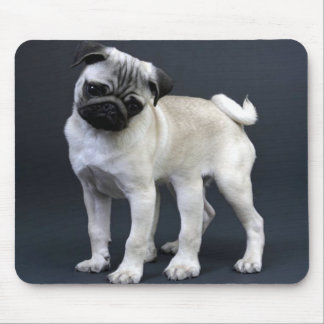 Mousepad Seis Pug equipados com pernas