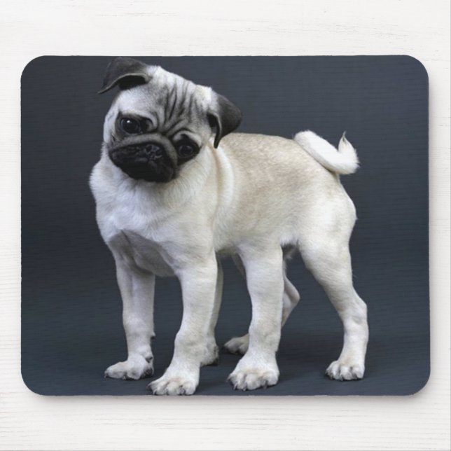 Mousepad Seis Pug equipados com pernas (Frente)