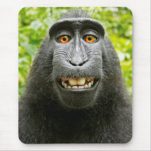 Mousepad Selfie de Macaco