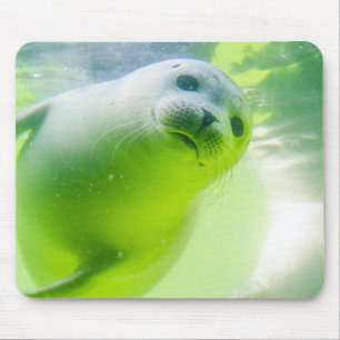 Mousepad Selo Amigável