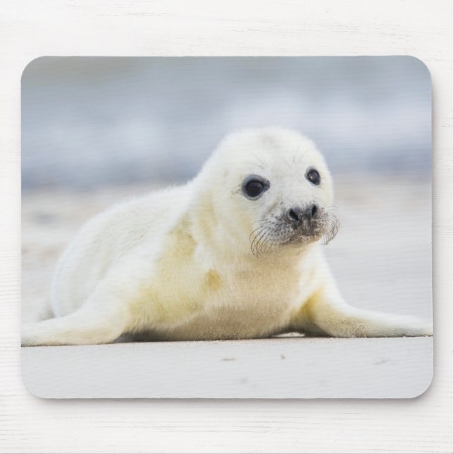 Mousepad Selo de bebê das imagens | de Getty (Frente)