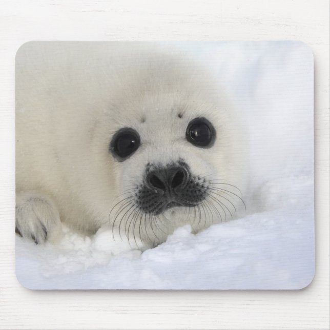 Mousepad Selo de harpa do bebê (Frente)