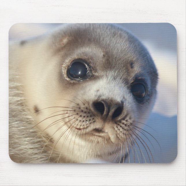 Mousepad Selo de harpa novo (Frente)