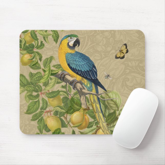 Mousepad Selva Tropical Amarela Macaw Antiguidade (Com mouse)