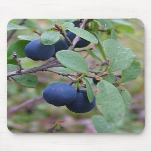 Mousepad selvagem das bagas
