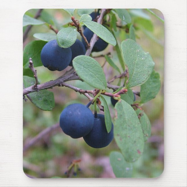 Mousepad selvagem das bagas (Frente)