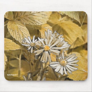Mousepad Selvagem de Mouse Aster