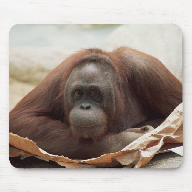 Mousepad Selvagens - Primatas 7 (Frente)