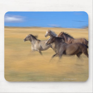 Mousepad Seneca, Oregon, EUA