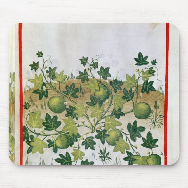 Mousepad Senhora 3054 melões fol.20, 'de Tacuinum Sanitatis (Frente)