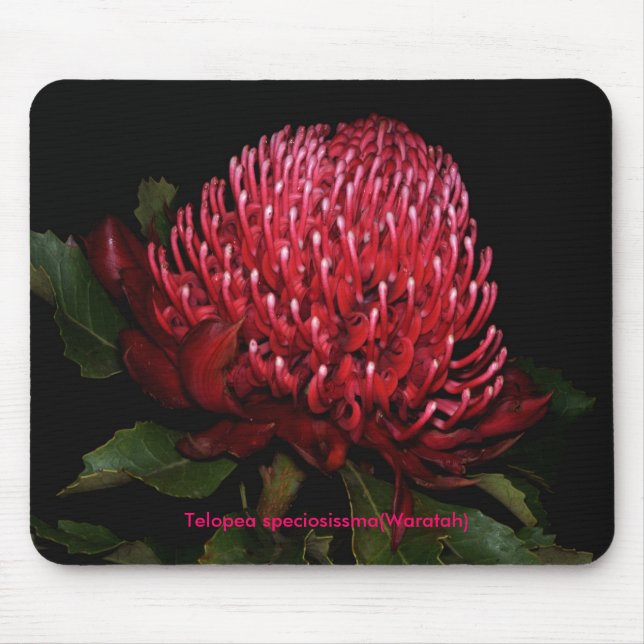 Mousepad Senhora australiana grande (Frente)
