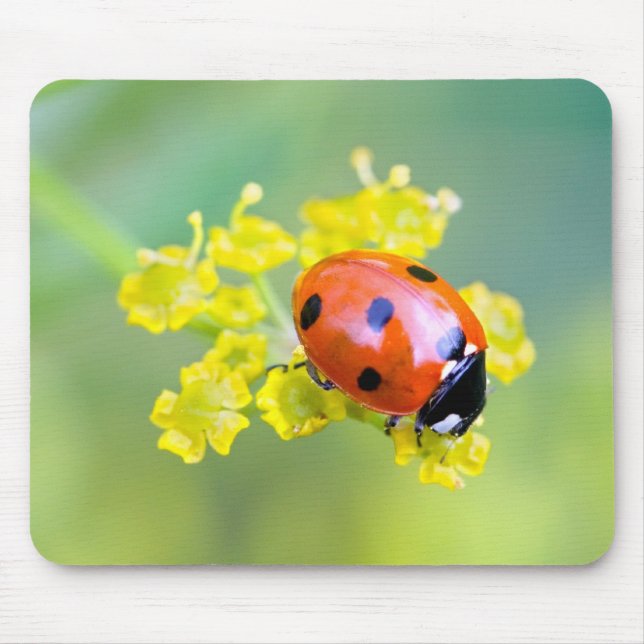 Mousepad senhora no topo (Frente)