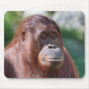 Mousepad Senhora Orangutã