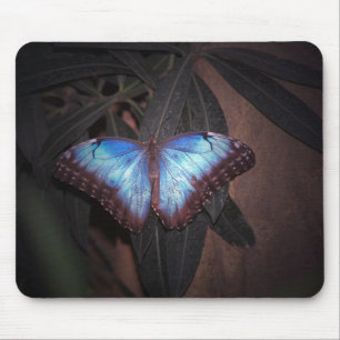Mousepad Senhora pintada azul