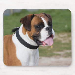 Mousepad Sentado do Boxer
