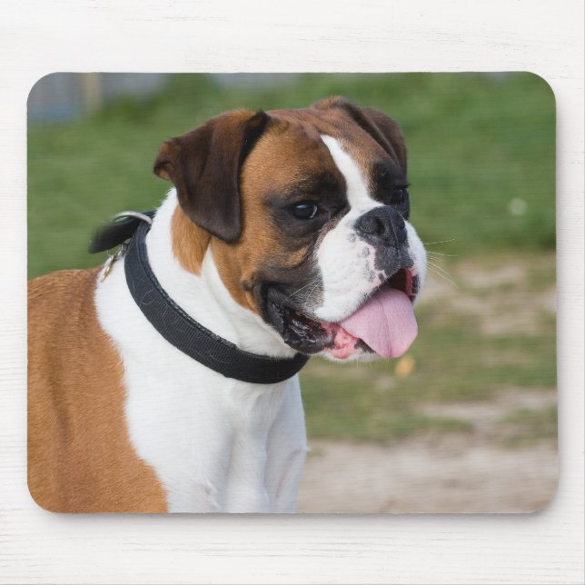 Mousepad Sentado do Boxer (Frente)