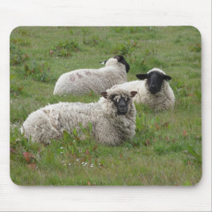 Mousepad Sentimento acanhado