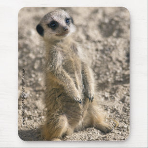 Mousepad Sentinela em treinar Mousemat