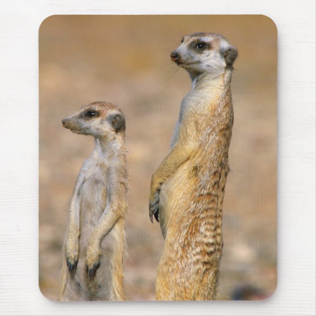 Mousepad Sentinelas de Meerkat (Suricata Suricatta), Karas (Frente)
