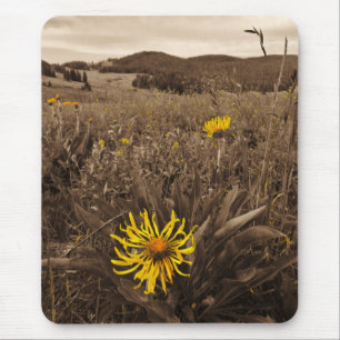Mousepad Sépia-tom Flores Amarelas
