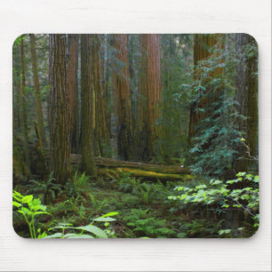 Mousepad Sequóias em Muir Woods National Park
