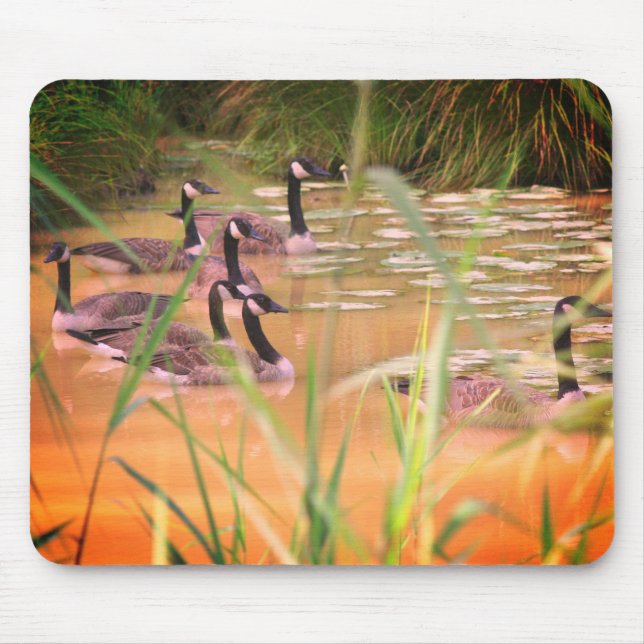 Mousepad Serenidade oculta Canadá Geese Natureza (Frente)