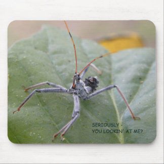 Mousepad Seriamente você que olha me?