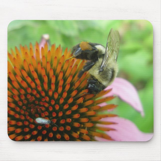 Mousepad Série Abelhas de Carpinteiro Oriental e Coneflower (Frente)