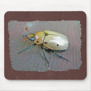 Mousepad Série Grapevine Beetle (Pelidnota punctata)