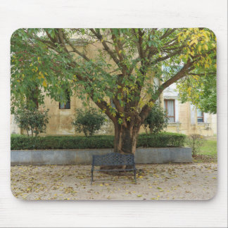 Mousepad Série Li Garden: Ecos sob a Árvore