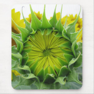 Mousepad Série Sunflower