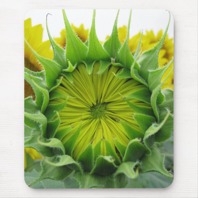 Mousepad Série Sunflower (Frente)
