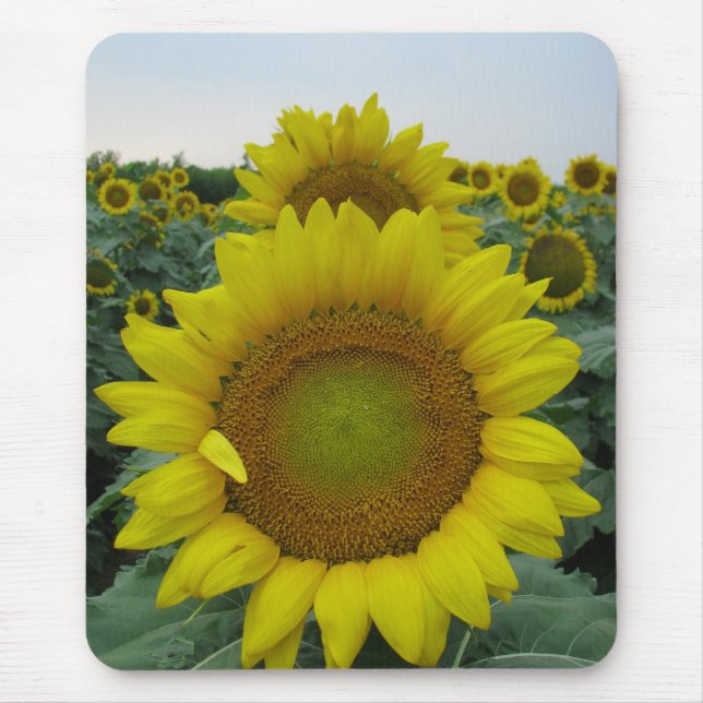 Mousepad Série Sunflower (Frente)