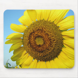 Mousepad Séries de girassol