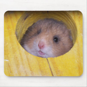 Mousepad Serra do bebê