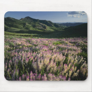 Mousepad Serra e Jarbridge Wilderness, Nevada, Esporão